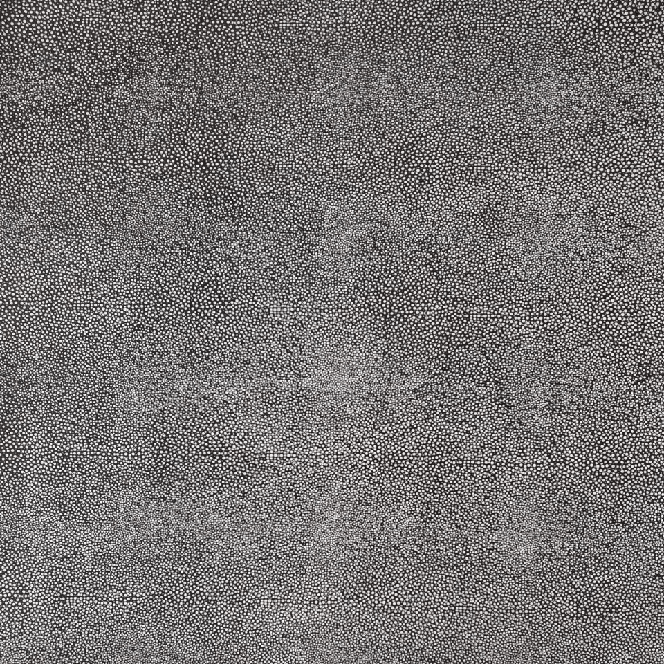 Galuchat Shagreen
