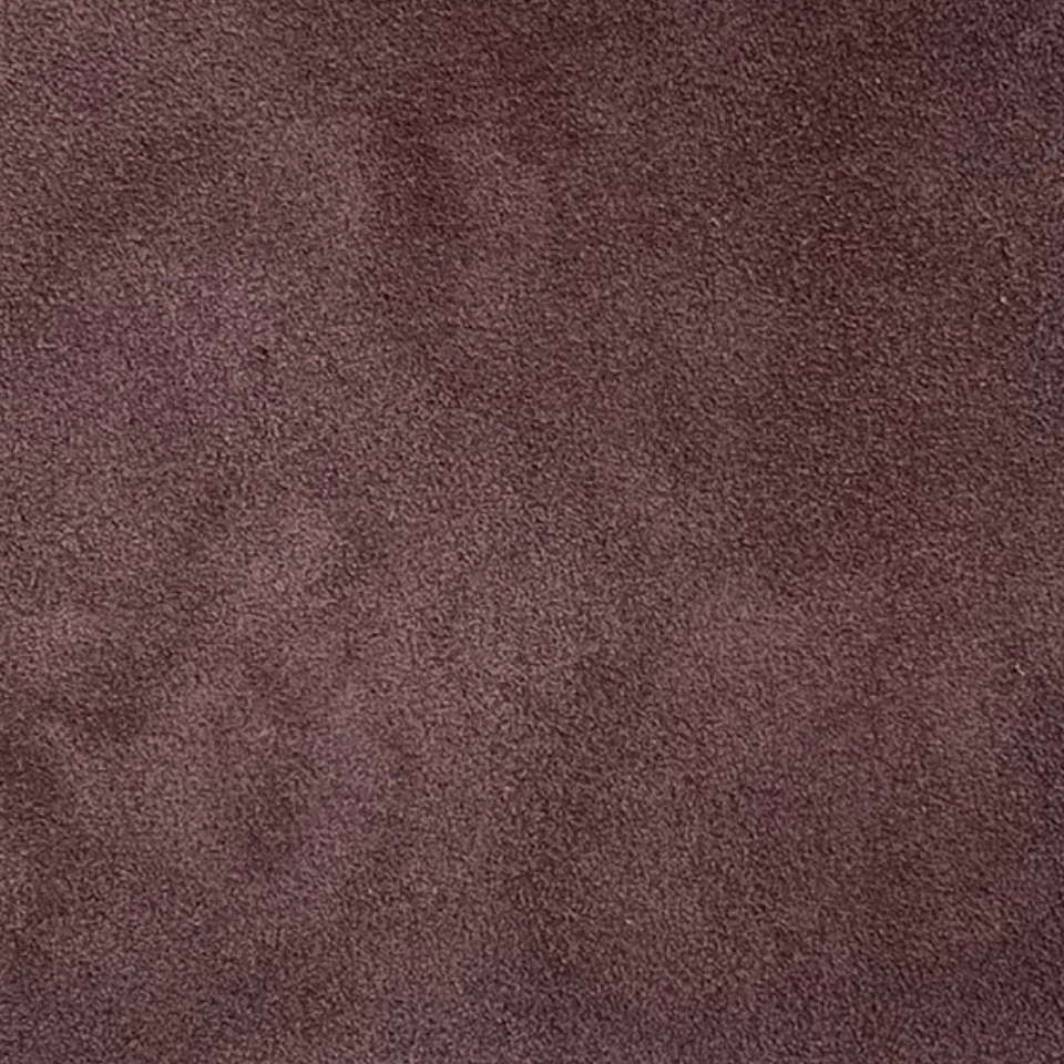 Camoscio